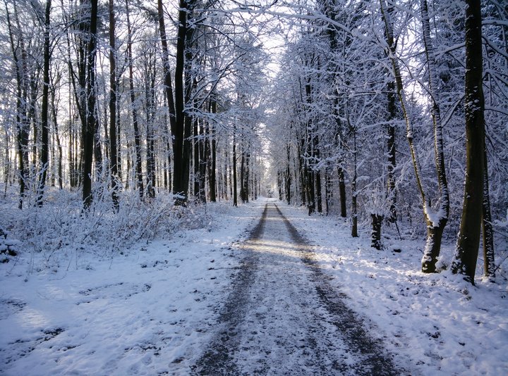 Cycling in snow (photo from 2016)