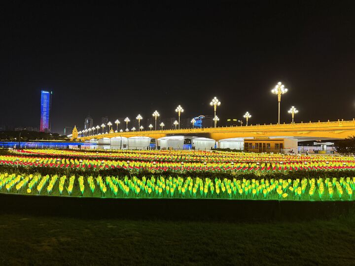 Bridge by night