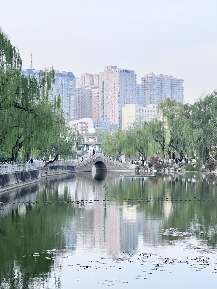 Bridge and lake in a park