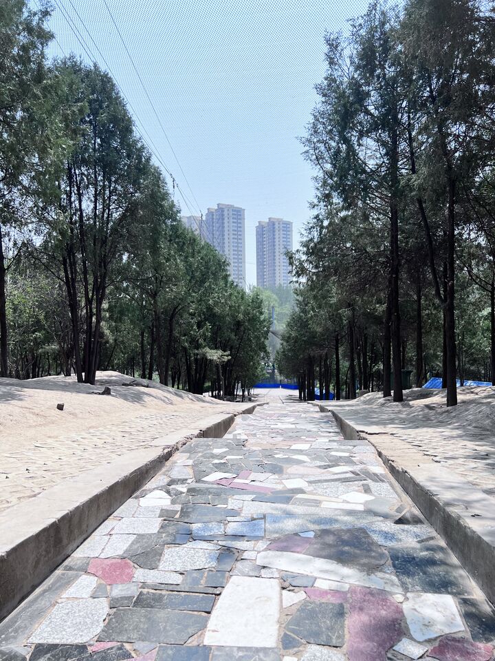 Forest Park