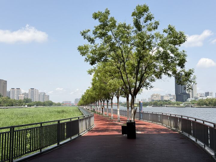 Pedestrian path on the Fen