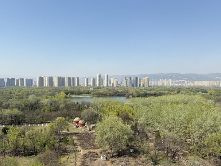 Overlooking Forest Park in 2026